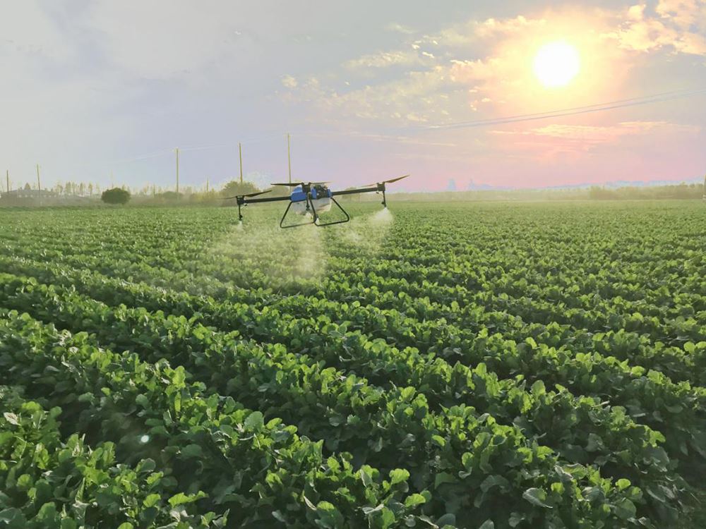 ¿qué son los drones de protección vegetal?